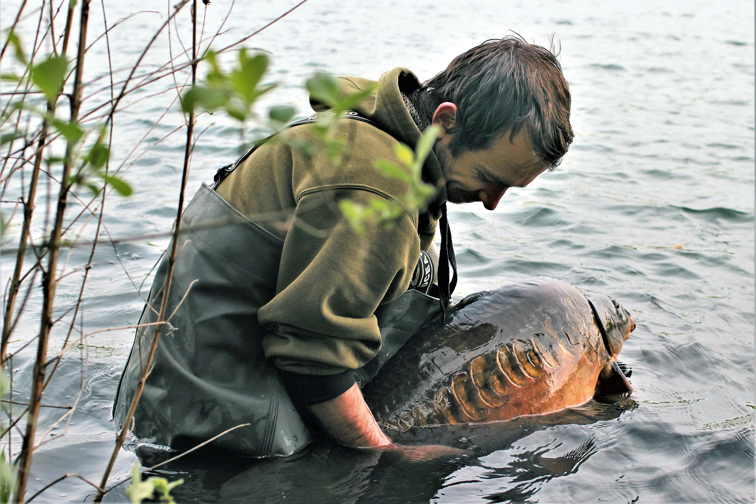 PIC 04- Returning a chunky, Wraysbury mirror.jpg