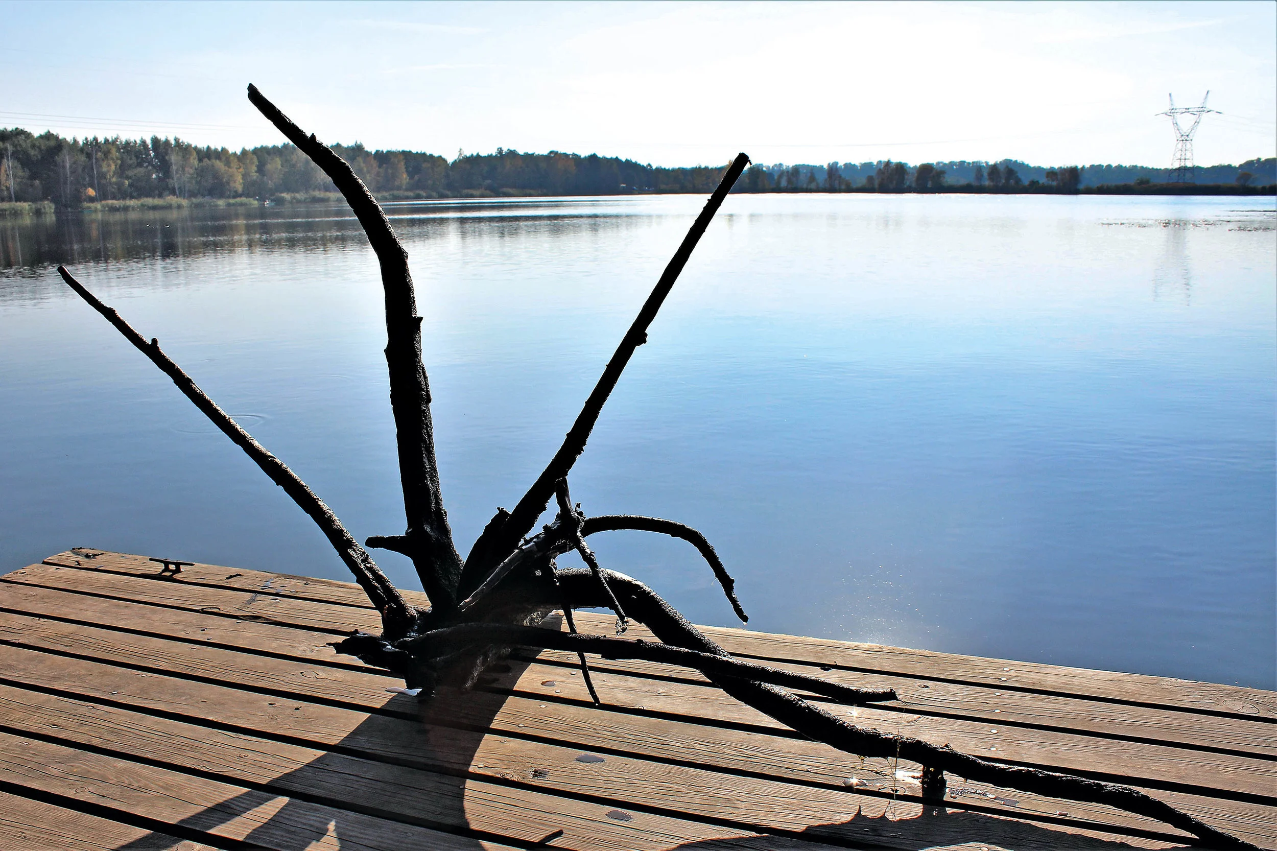DC - Image 10.jpg