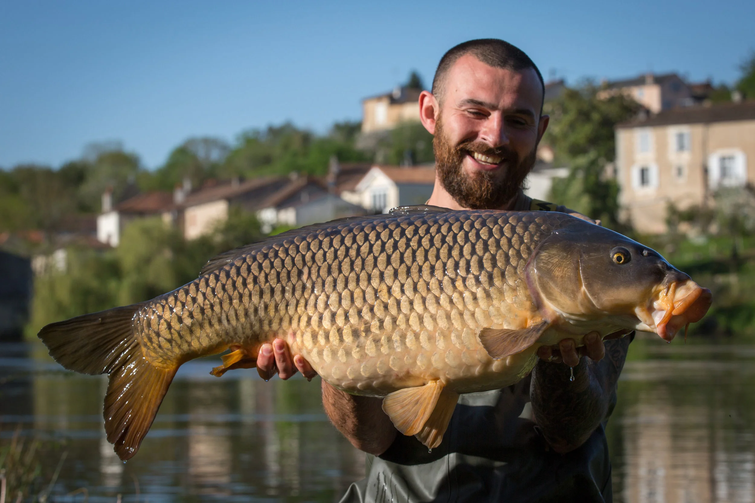 Sean signed off from the river with this immaculate 34lb common
