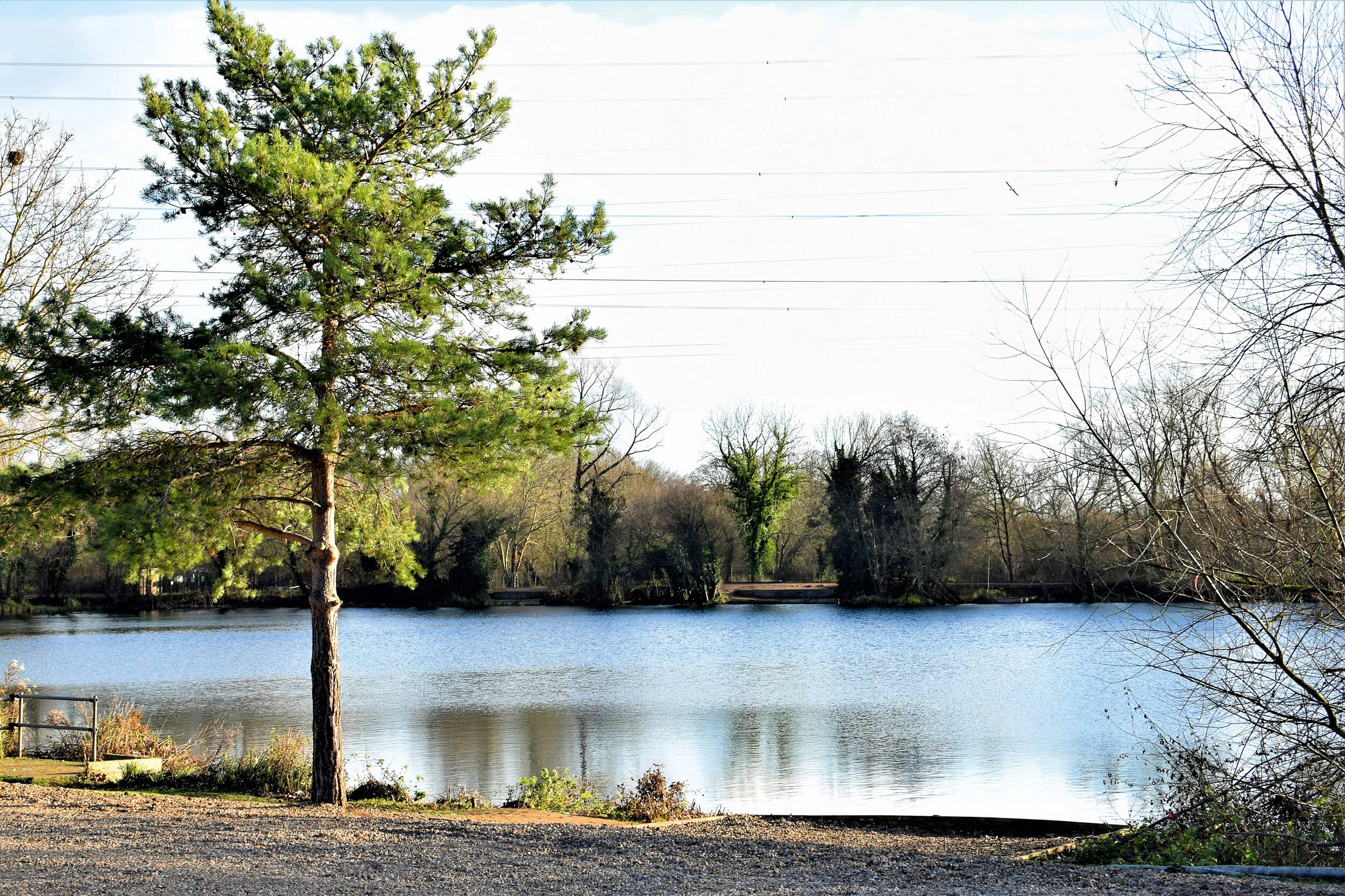 Looking across to the small peninsula on the M25 bank, opposite the lodge