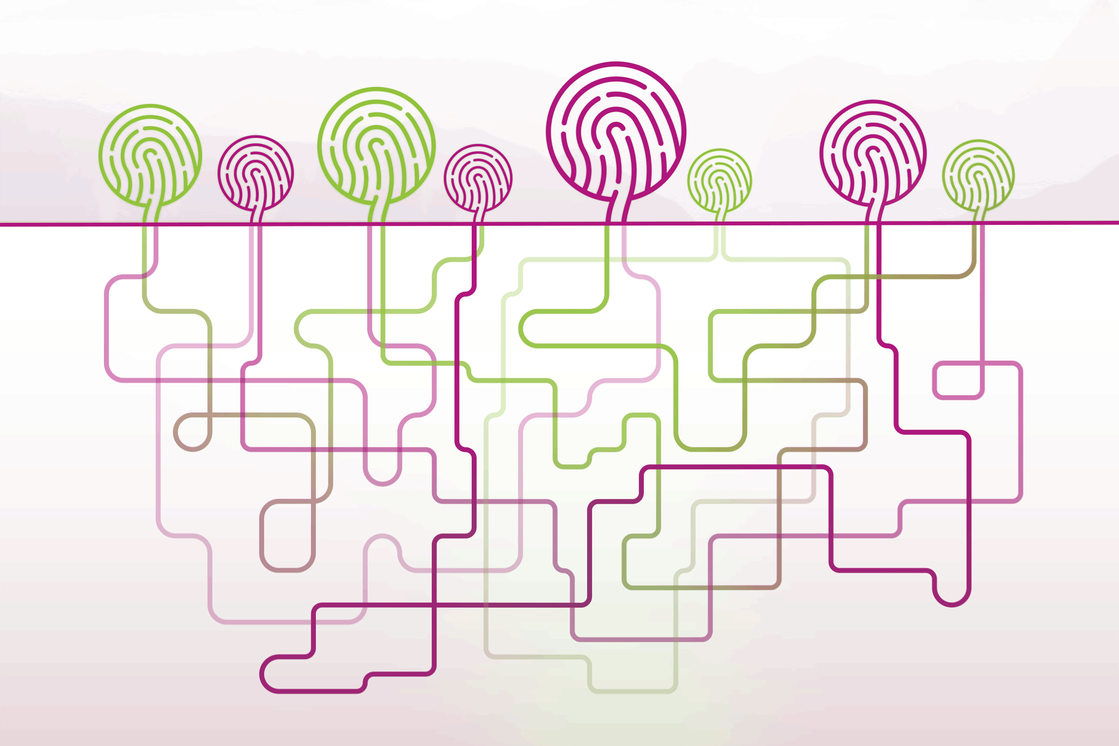 It’s not just us that communicate and network, trees do exactly that!