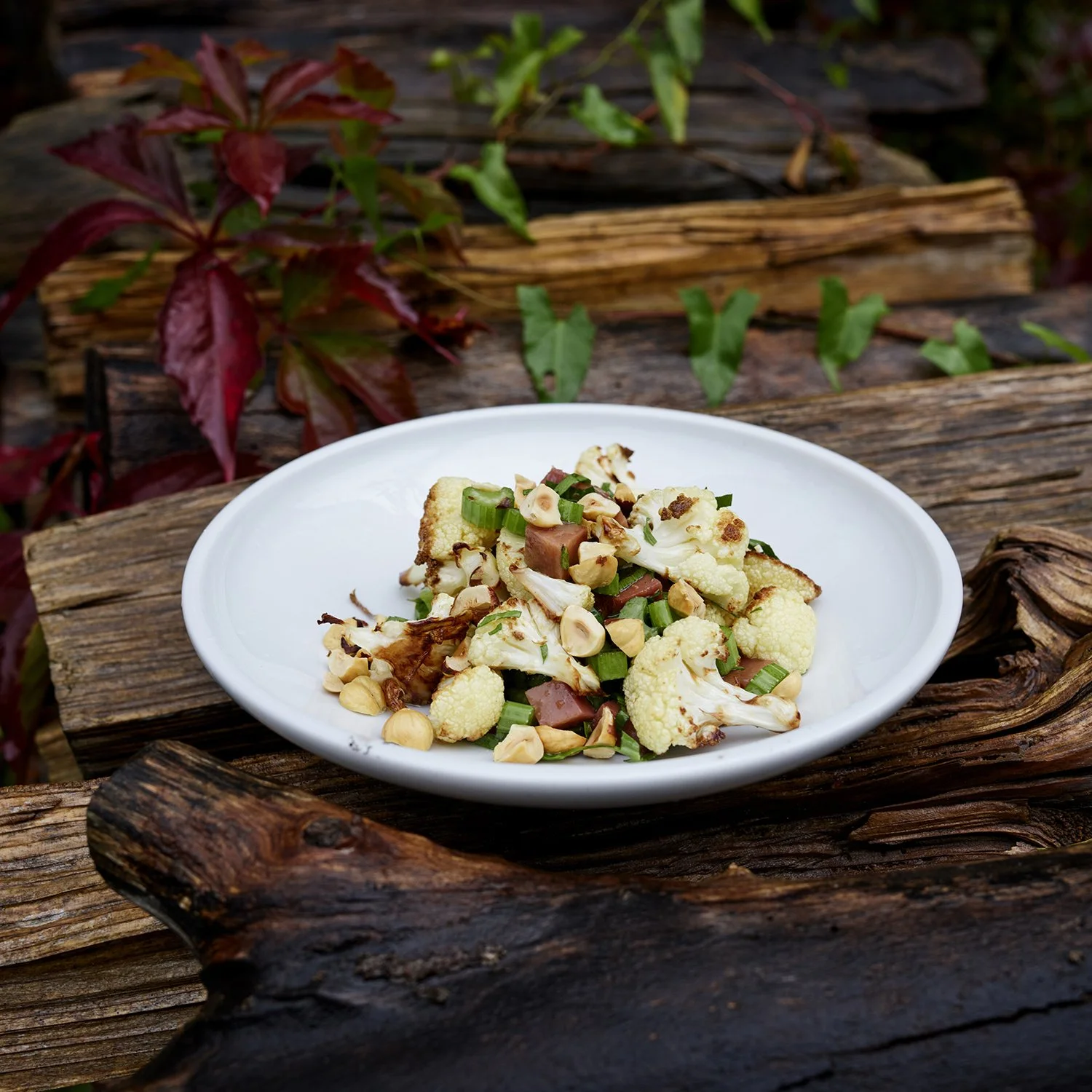 BlumenkohlP0169404 .jpg