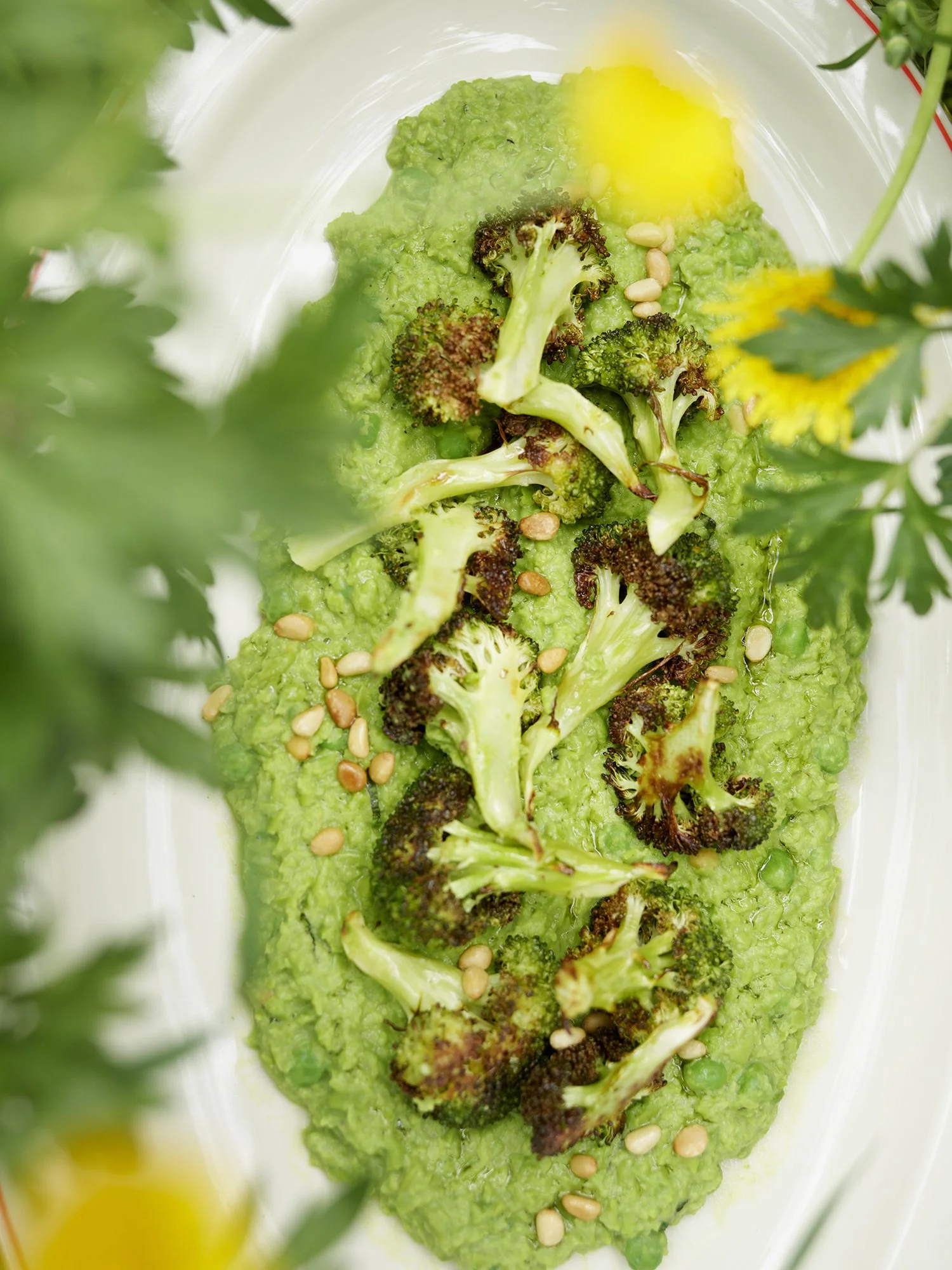 DARLING «CHEF TILL KELLER»