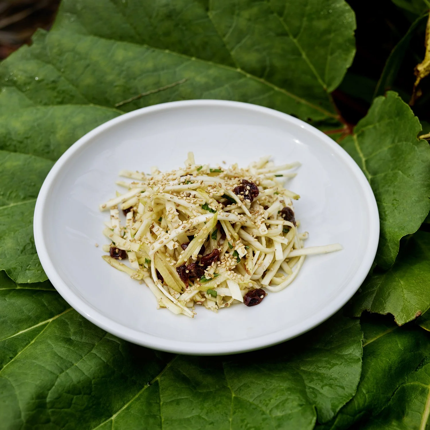 DARLING «CHEF TILL KELLER»