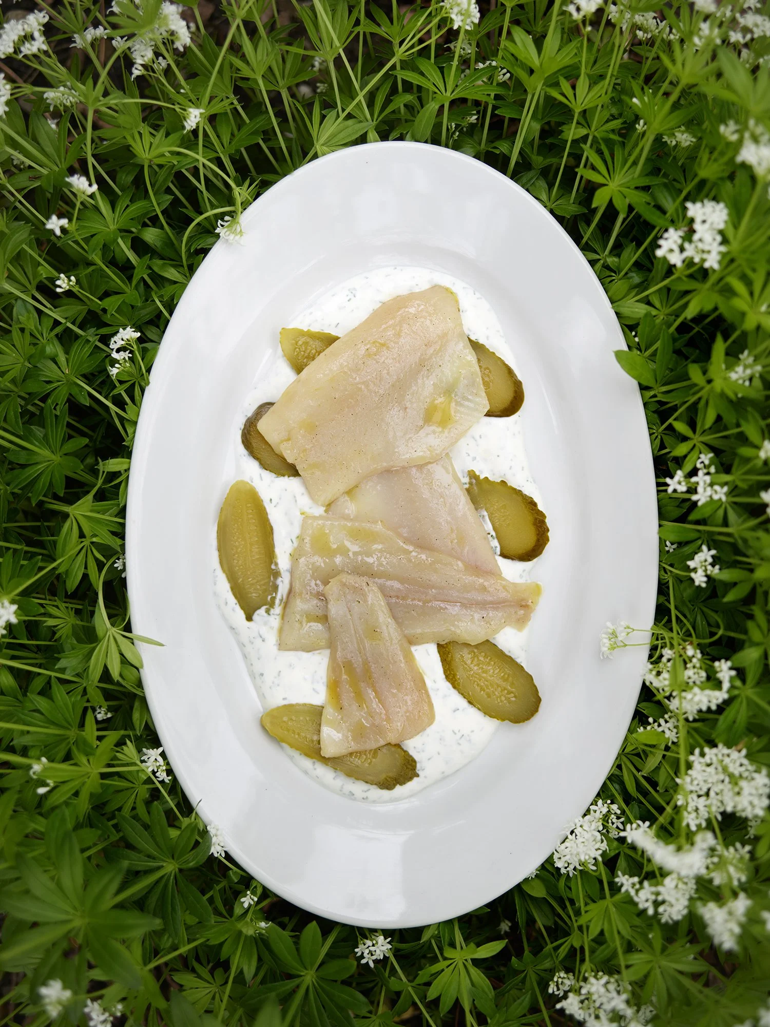 DARLING «CHEF TILL KELLER»