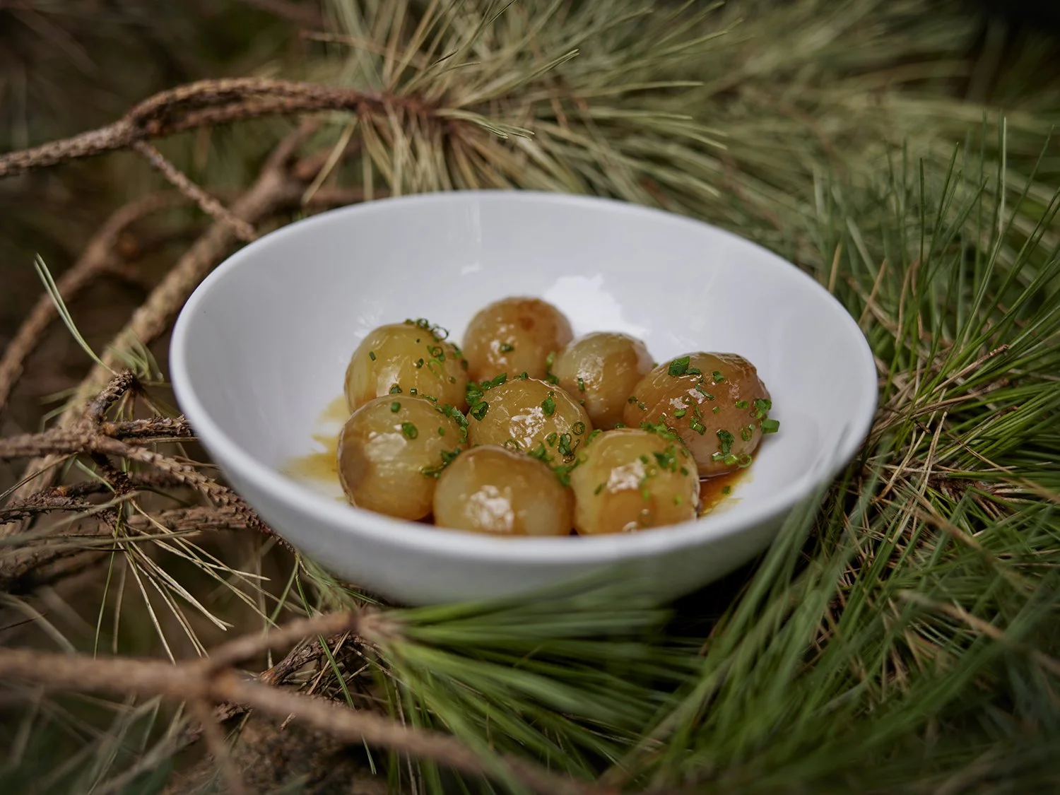 DARLING «CHEF TILL KELLER»