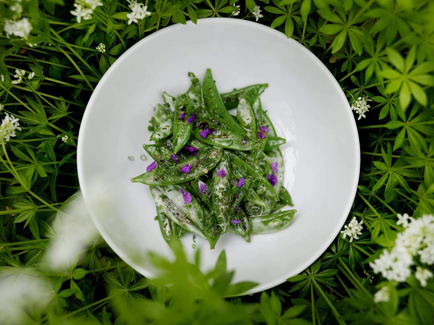 DARLING «CHEF TILL KELLER»