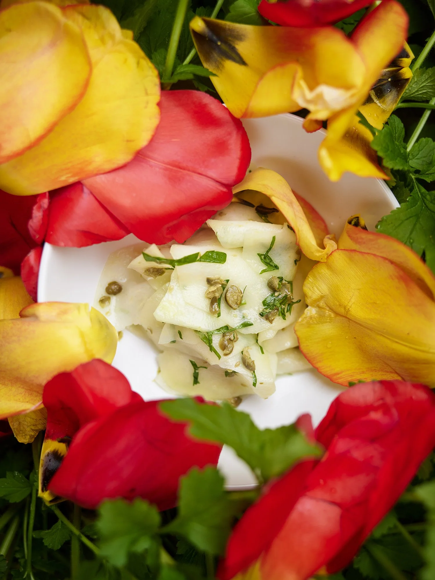 DARLING «CHEF TILL KELLER»