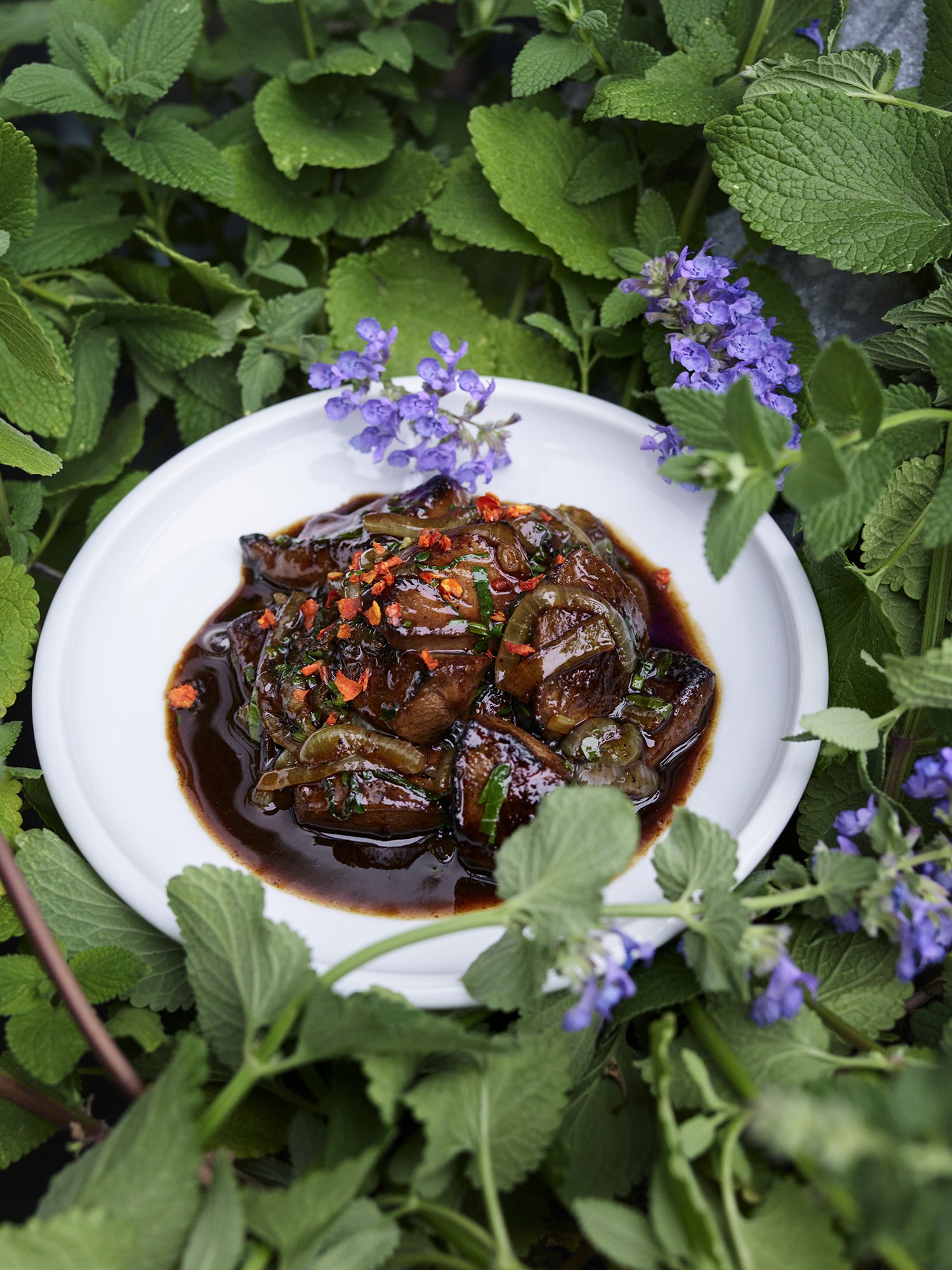 DARLING «CHEF TILL KELLER»