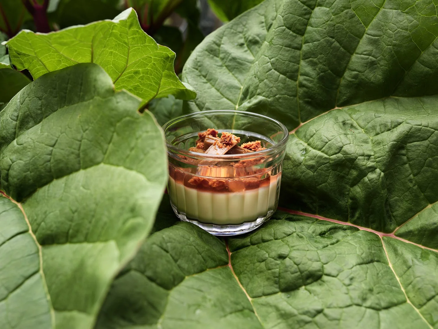 DARLING «CHEF TILL KELLER»