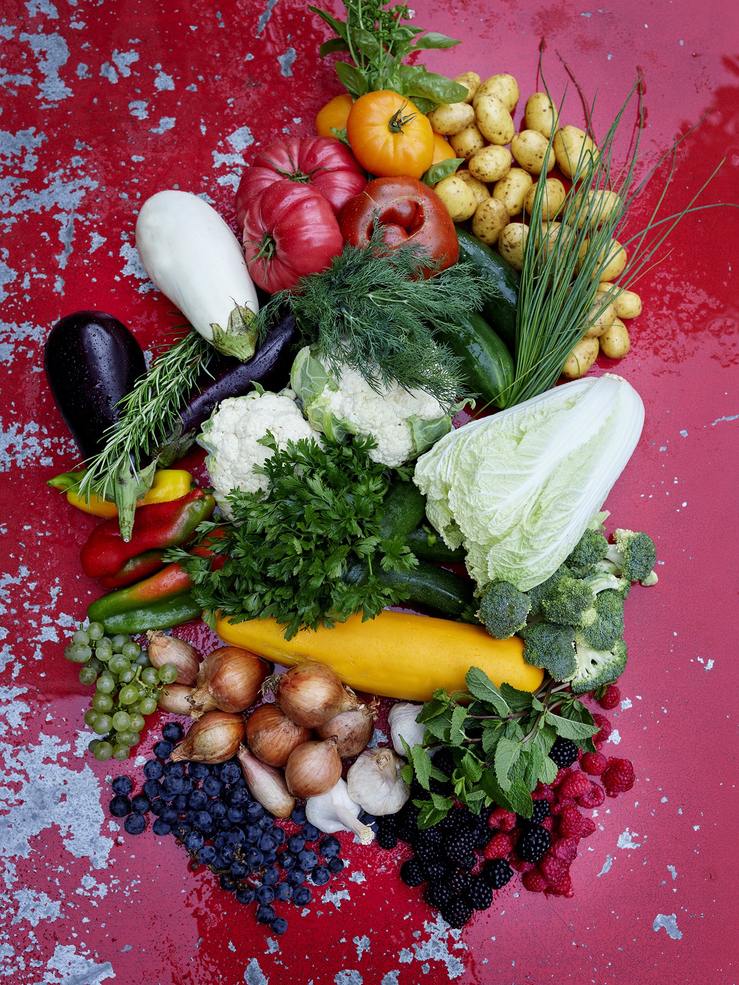 DARLING «CHEF TILL KELLER»