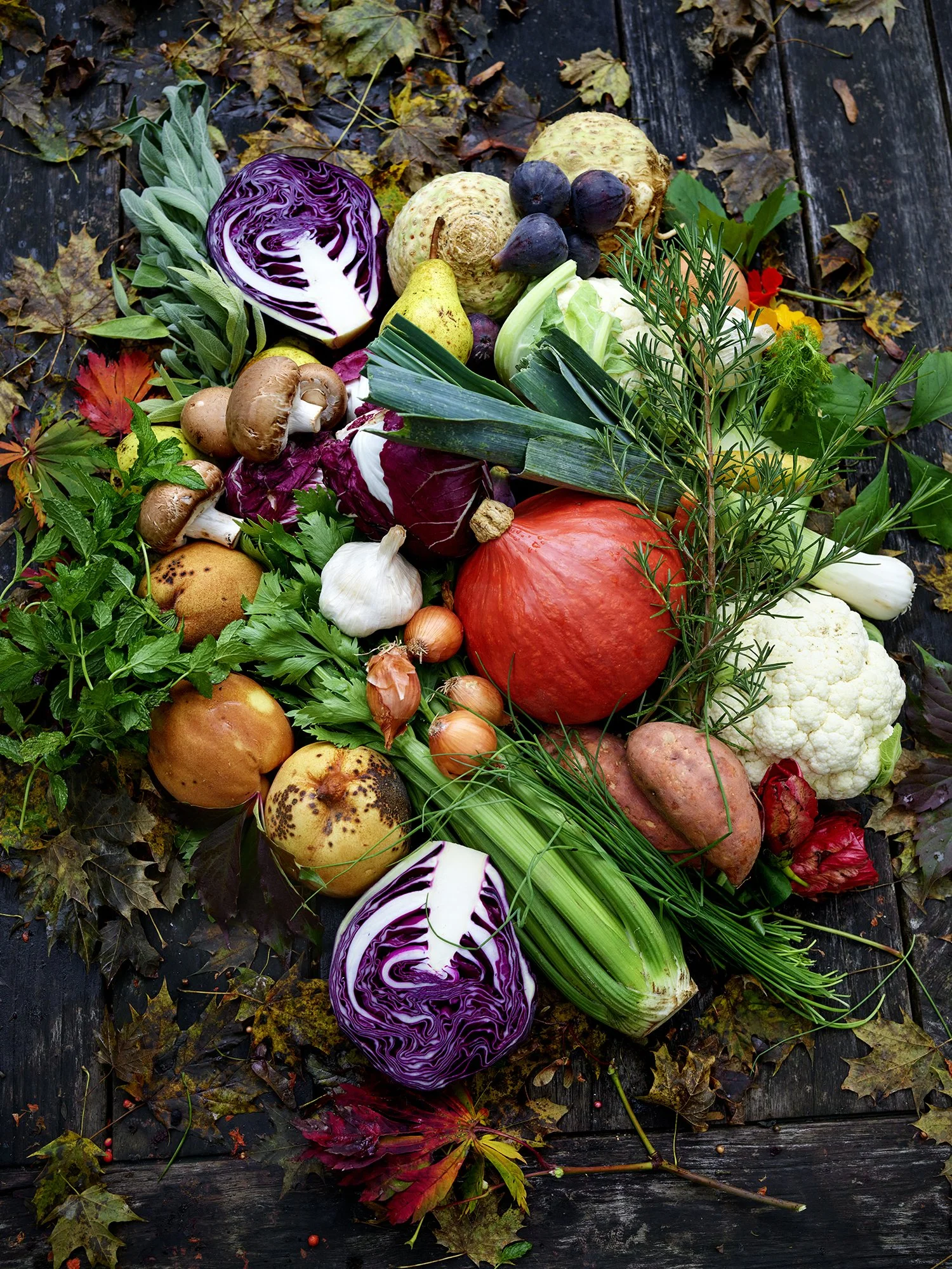 DARLING «CHEF TILL KELLER»