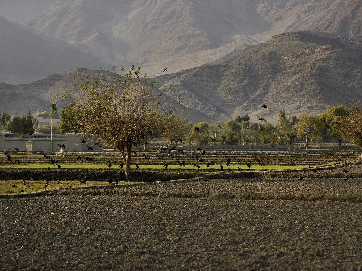 Afgahnistan_P0203401 Kopie.jpg