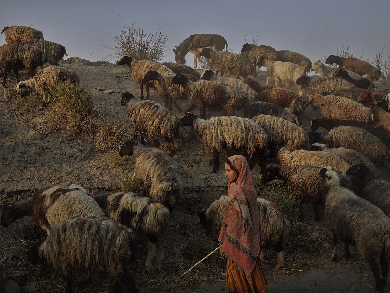 Afgahnistan_P0203509 Kopie.jpg