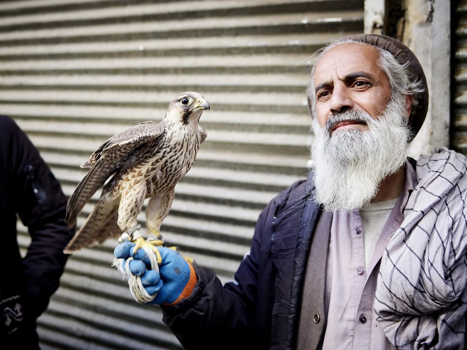 Afghanistan- P0201046.jpg