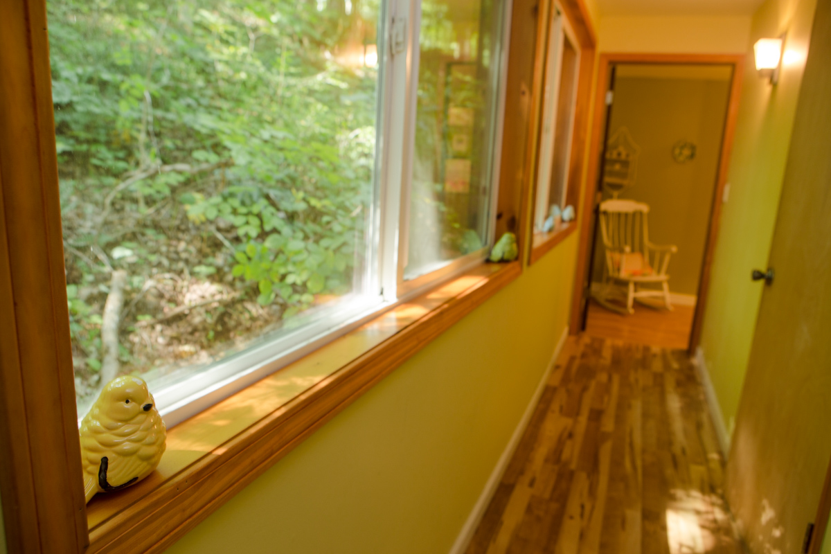 150831_Serif_HockingHills_Finished-88.jpg