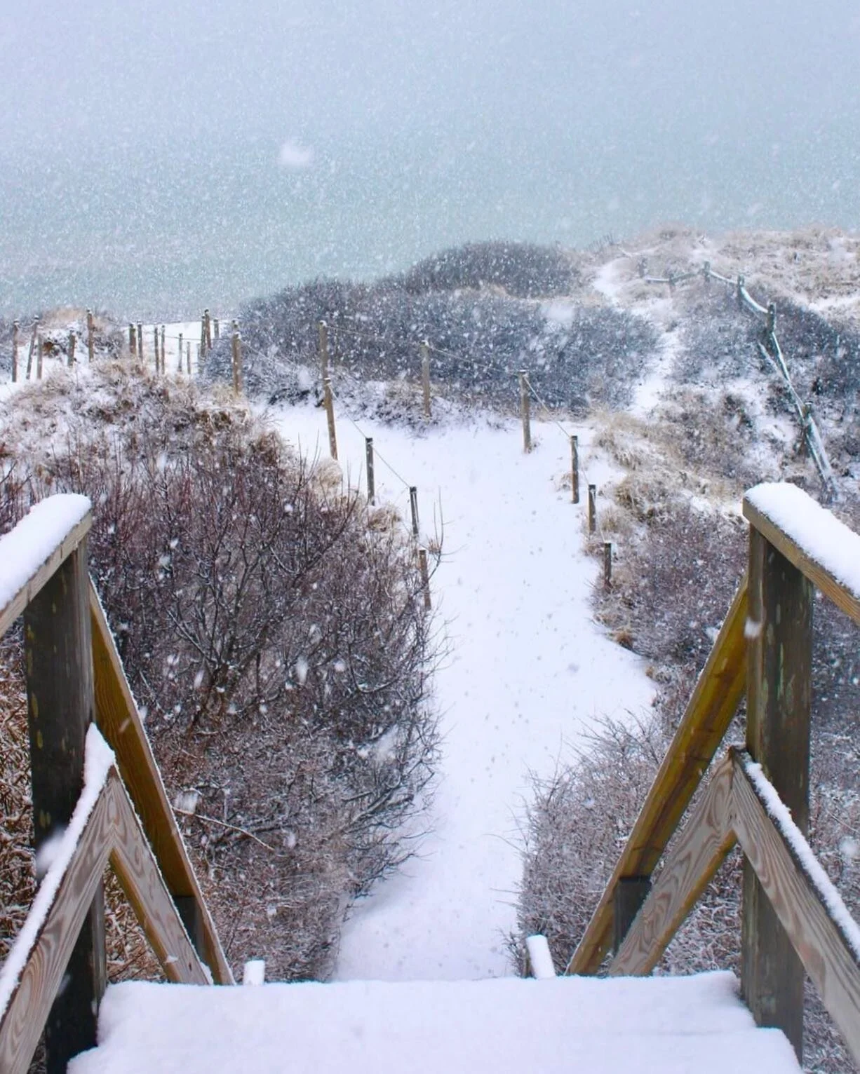 Not your average Steps view 😉❄️
Love this winter white #NantucketMoment from @nantucketmagic 📸
#Nantucket #ACK #NantucketWinter