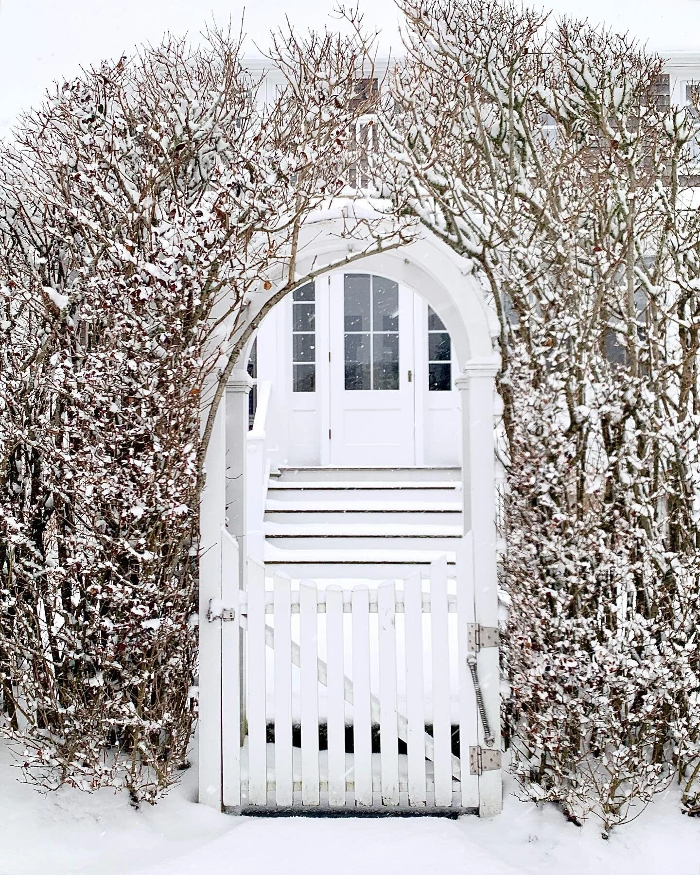 BRB, off to Nantucket Narnia ❄️✨