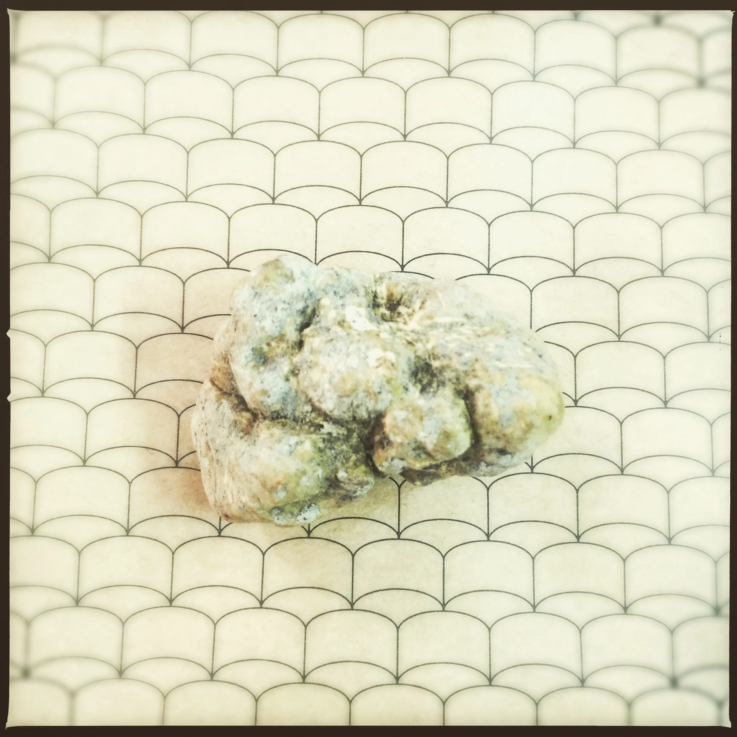 Intoxication ... The white truffle fair in Alba