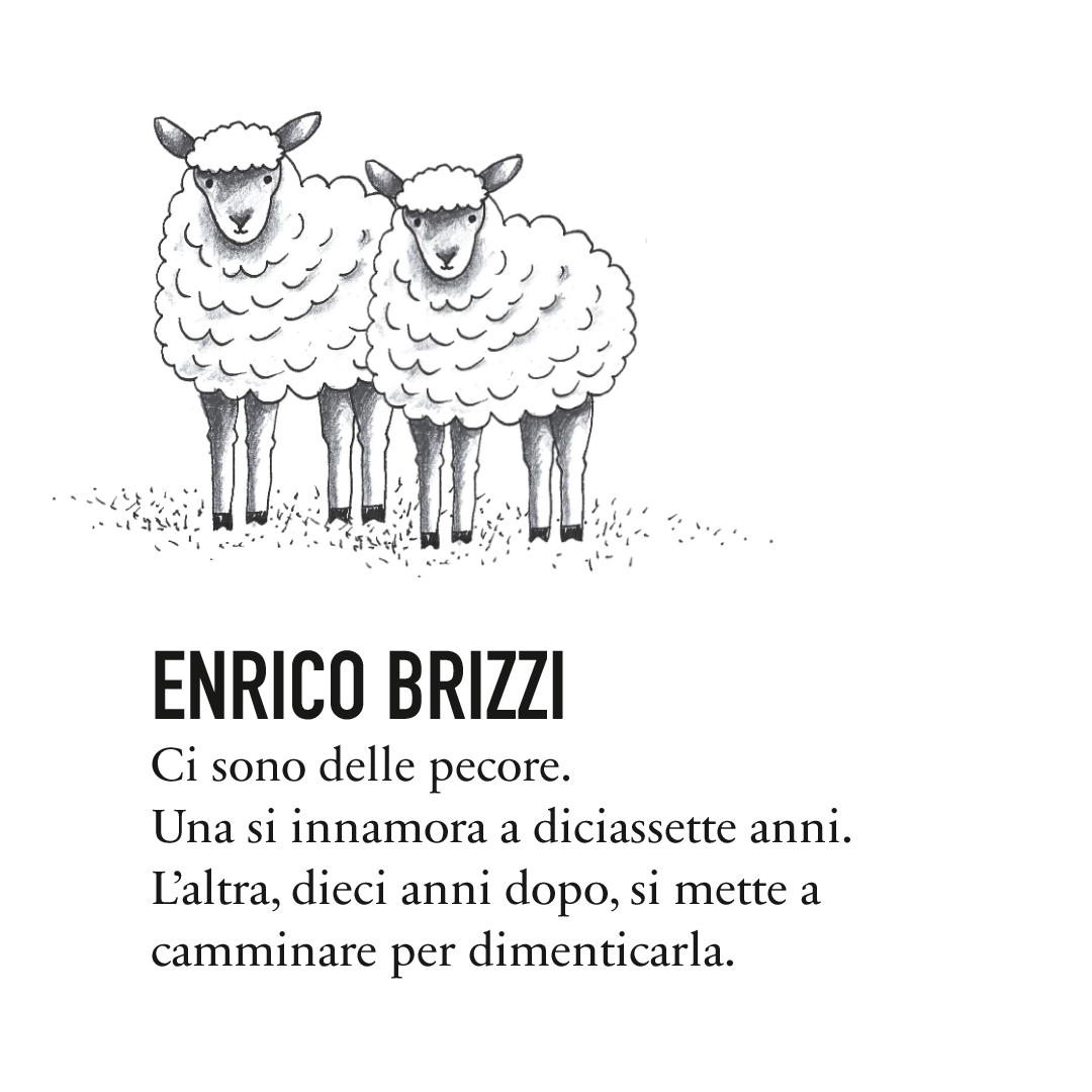 Brizzi.png