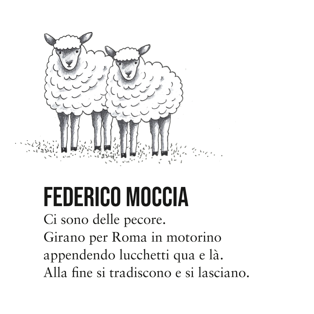 moccia.png