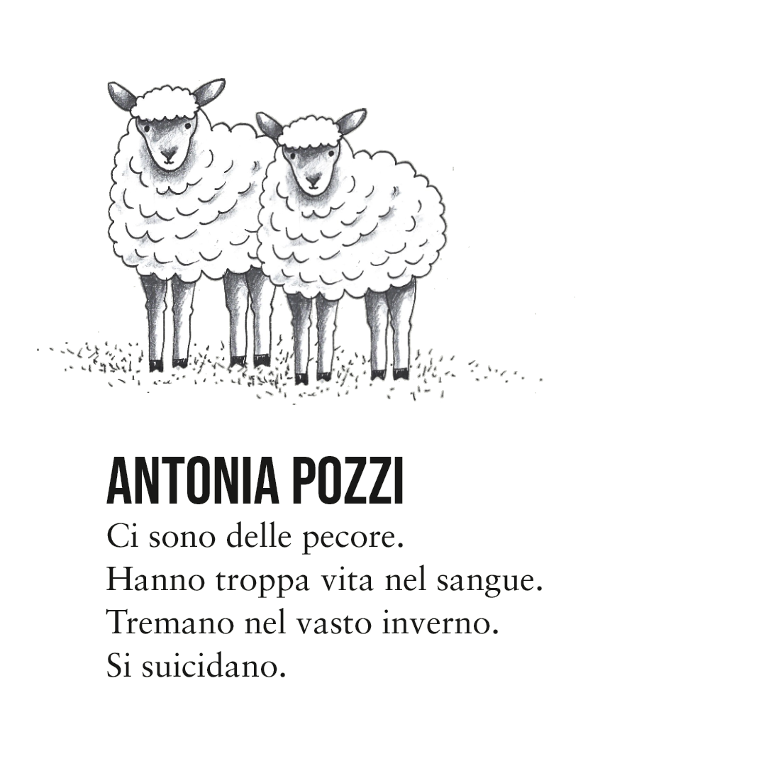 pozzi.png