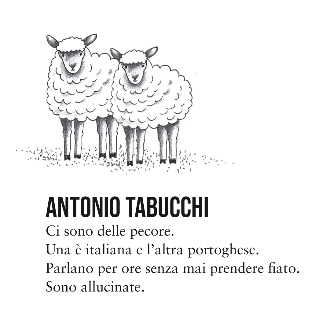 Tabucchi.png