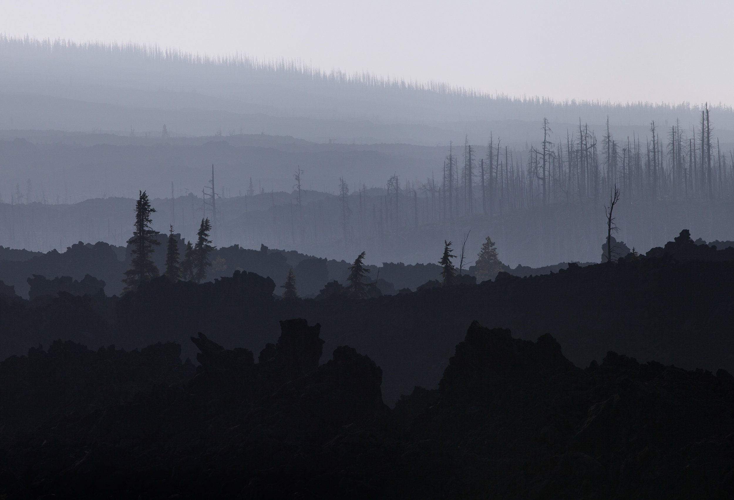 Pumice fields in Willamette National Forest, OR. 2015.