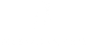 mcsweenys.png