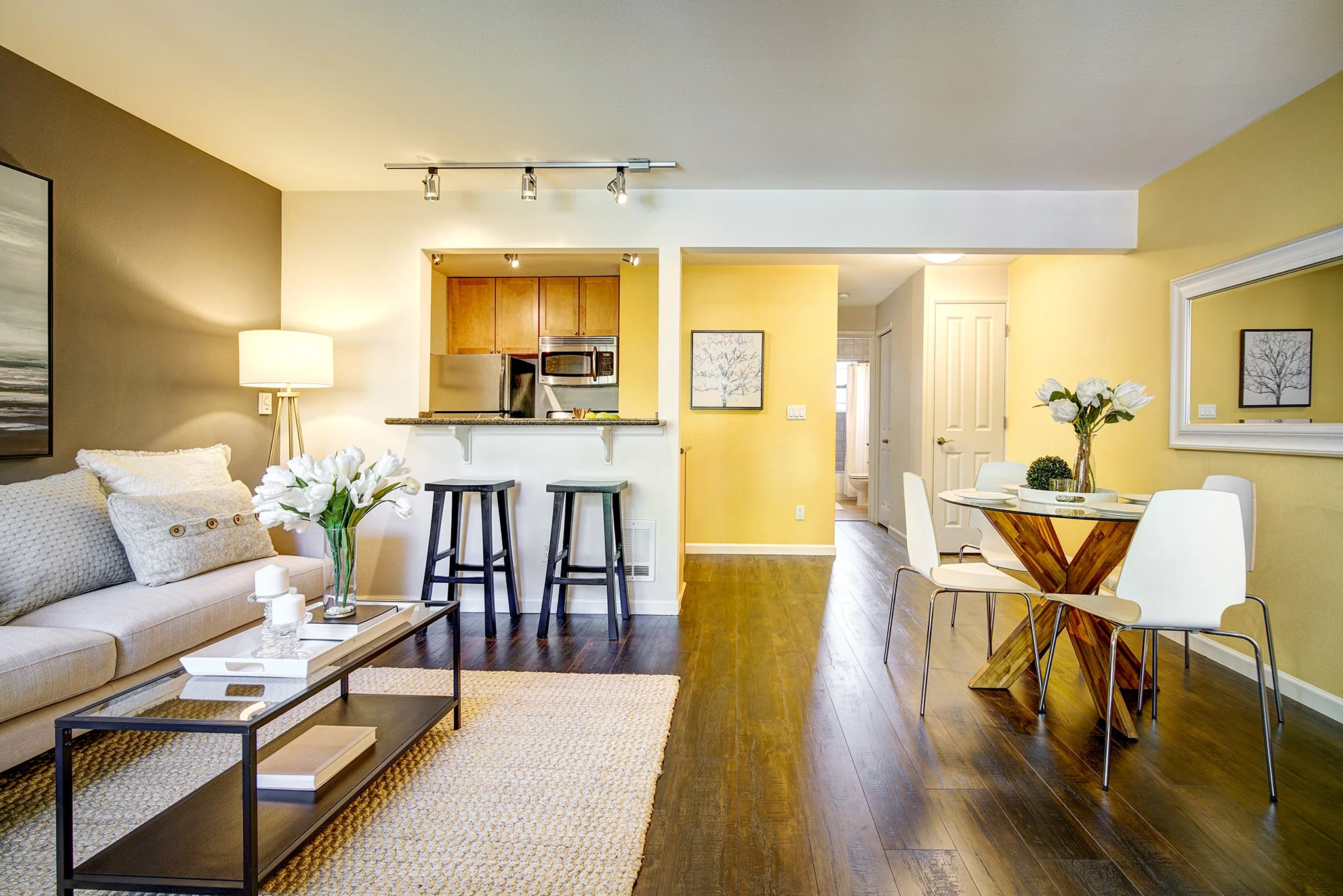 Tara-Condo050720190013.jpg