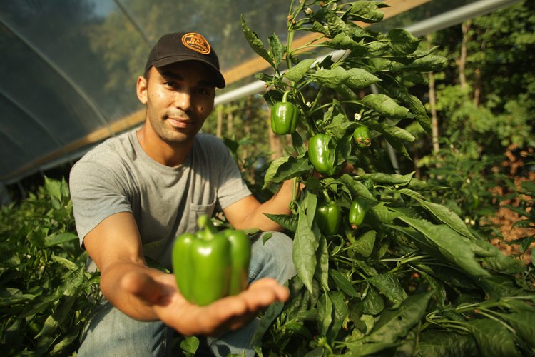 Adopt an Urban Farm — AgLanta AgLanta Urban Agriculture Atlanta