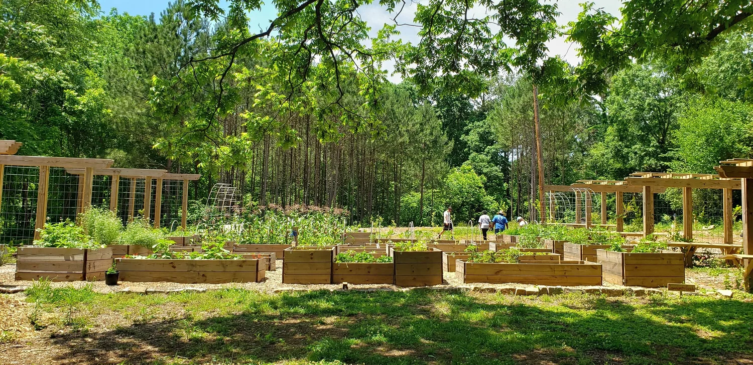Adopt An Aglanta Grows A Lot Aglanta Aglanta Urban Agriculture Atlanta
