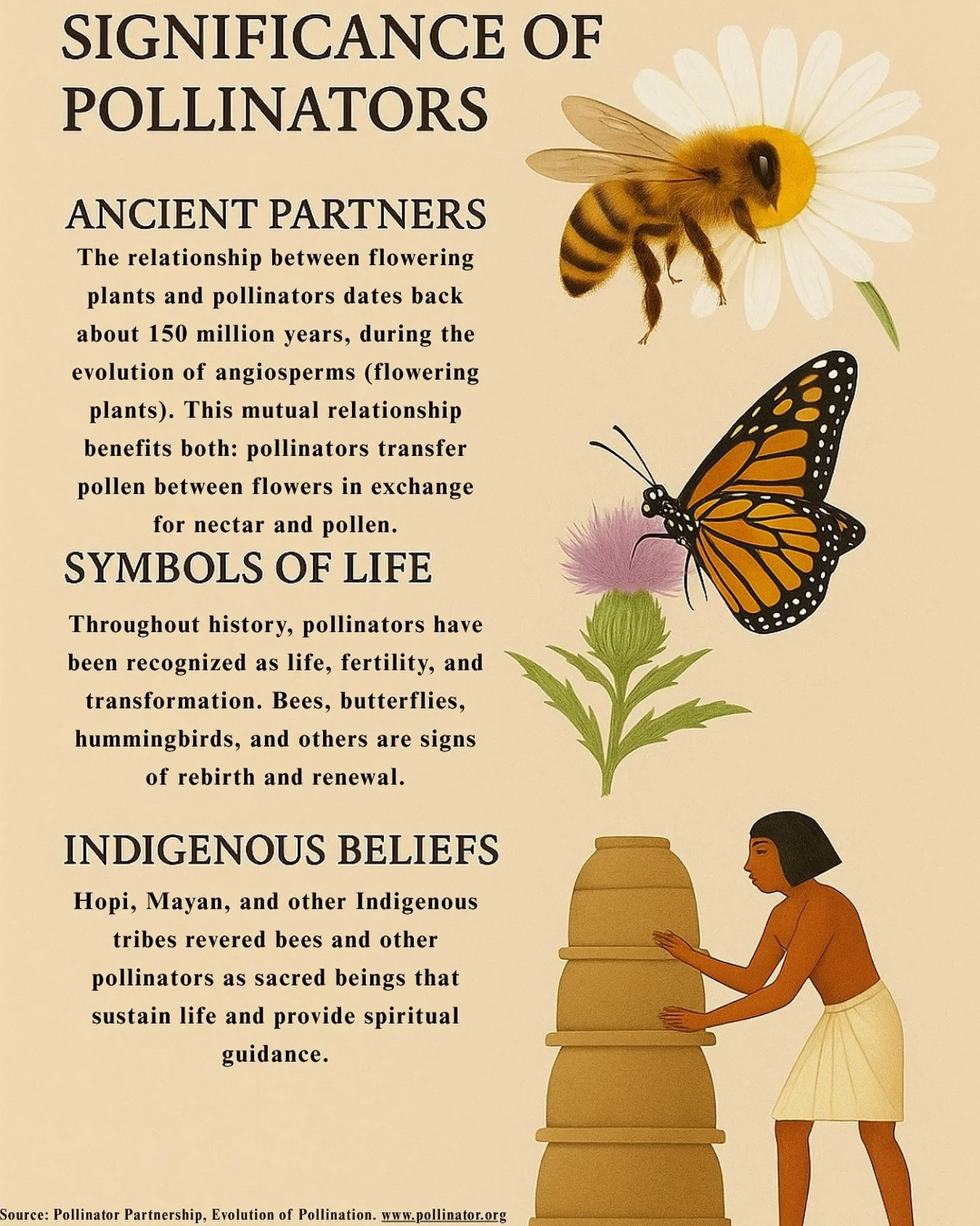 Check out how pollinators played a role in the past as well as the present. From the Egyptians to the Mayans, pollinators have always been in our lives.

#NationalPollinatorWeek #GreenAtlanta
#BeeCityUSA #Nature #History