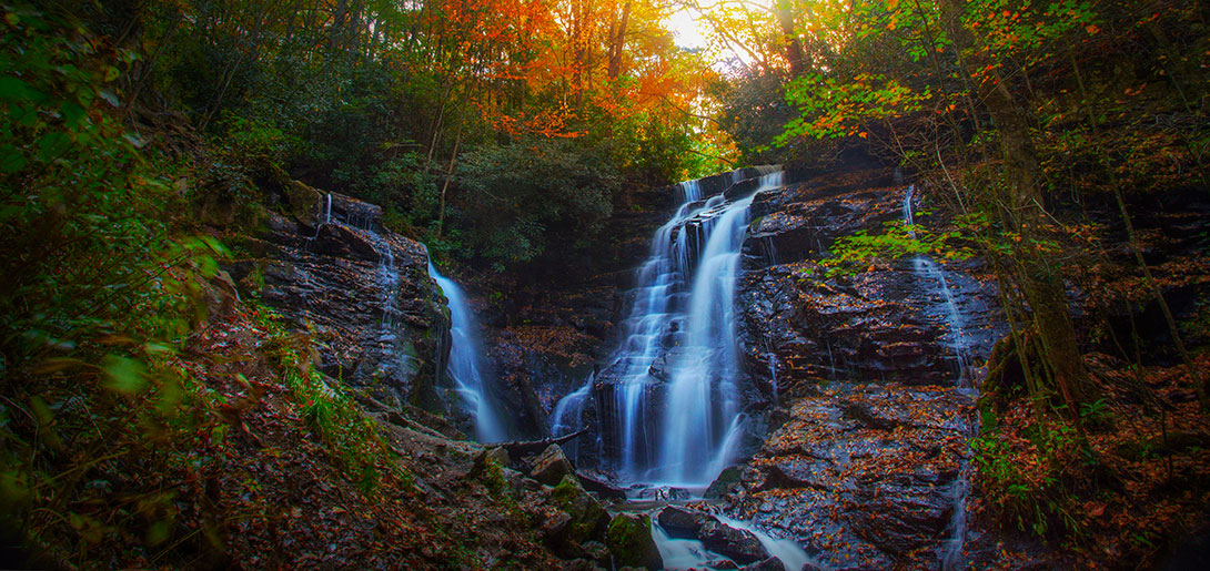 Mother Earth provides us with everything we need and more.