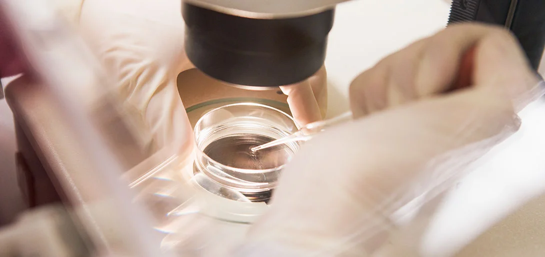 DXC I.C. offers plant-based product development service from R&D project to plant materials and end-products through its laboratory and its excellent supply chain.
