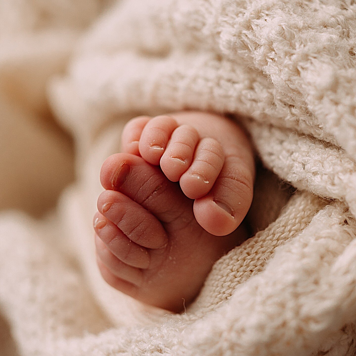 Friday toes. 
#NewbornPhotography #BabyPortraits #TinyMiracles #SweetBabies #NewbornLove #PreciousMoments #BabyPhotography #CutenessOverload #BabyBliss #InnocenceCaptured #LittleBundleOfJoy #CherishedMemories #NewbornSession #SleepingBeauty #Adorable