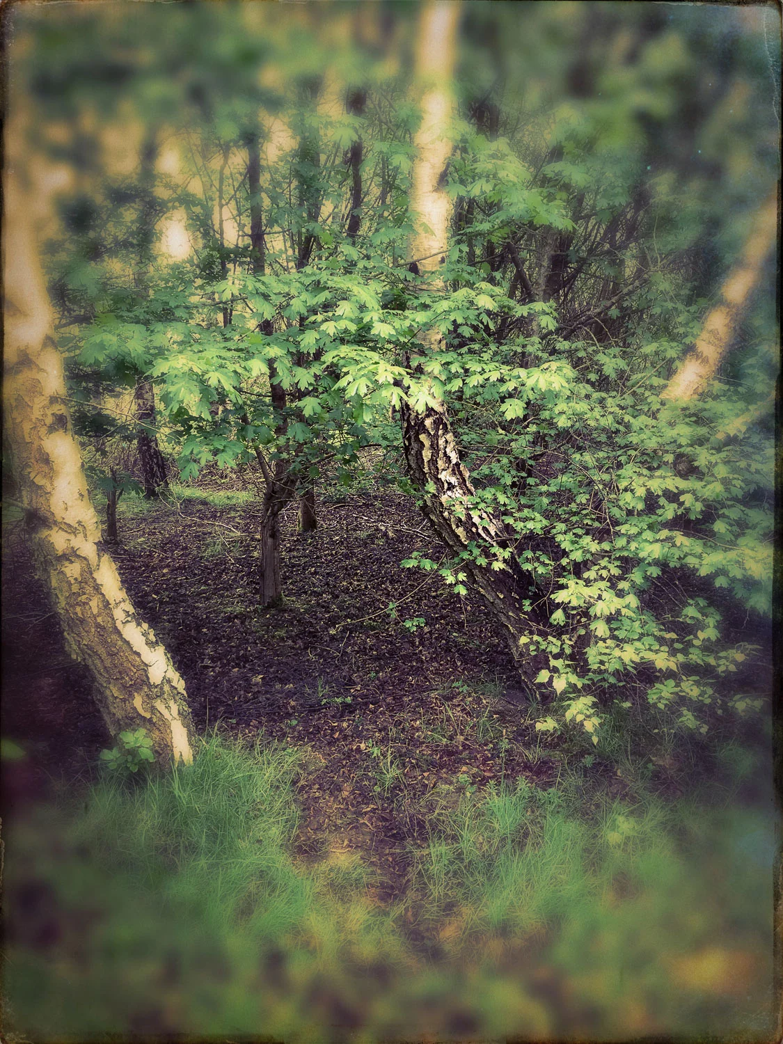 Untitled - 7 June 2014