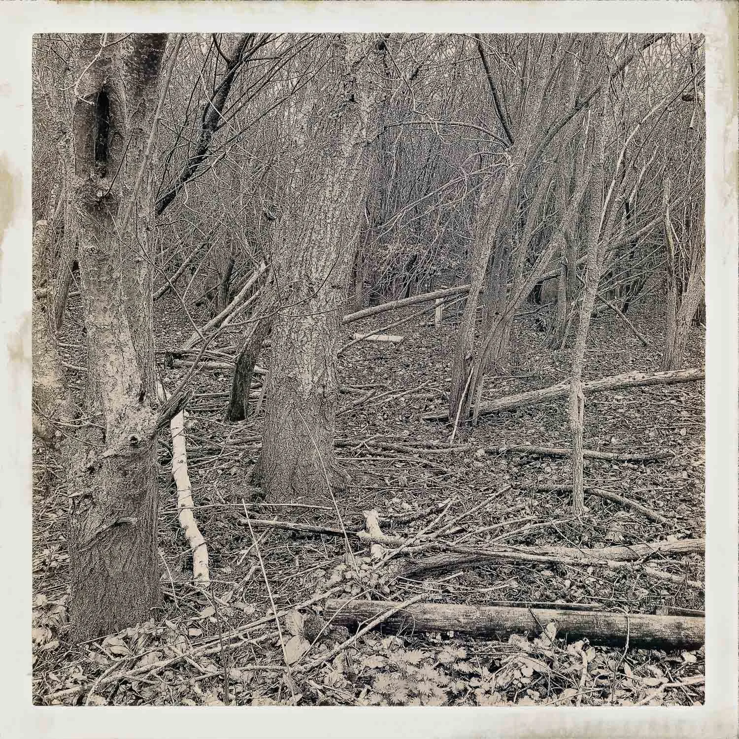 Untitled - 16 March 2019 - c