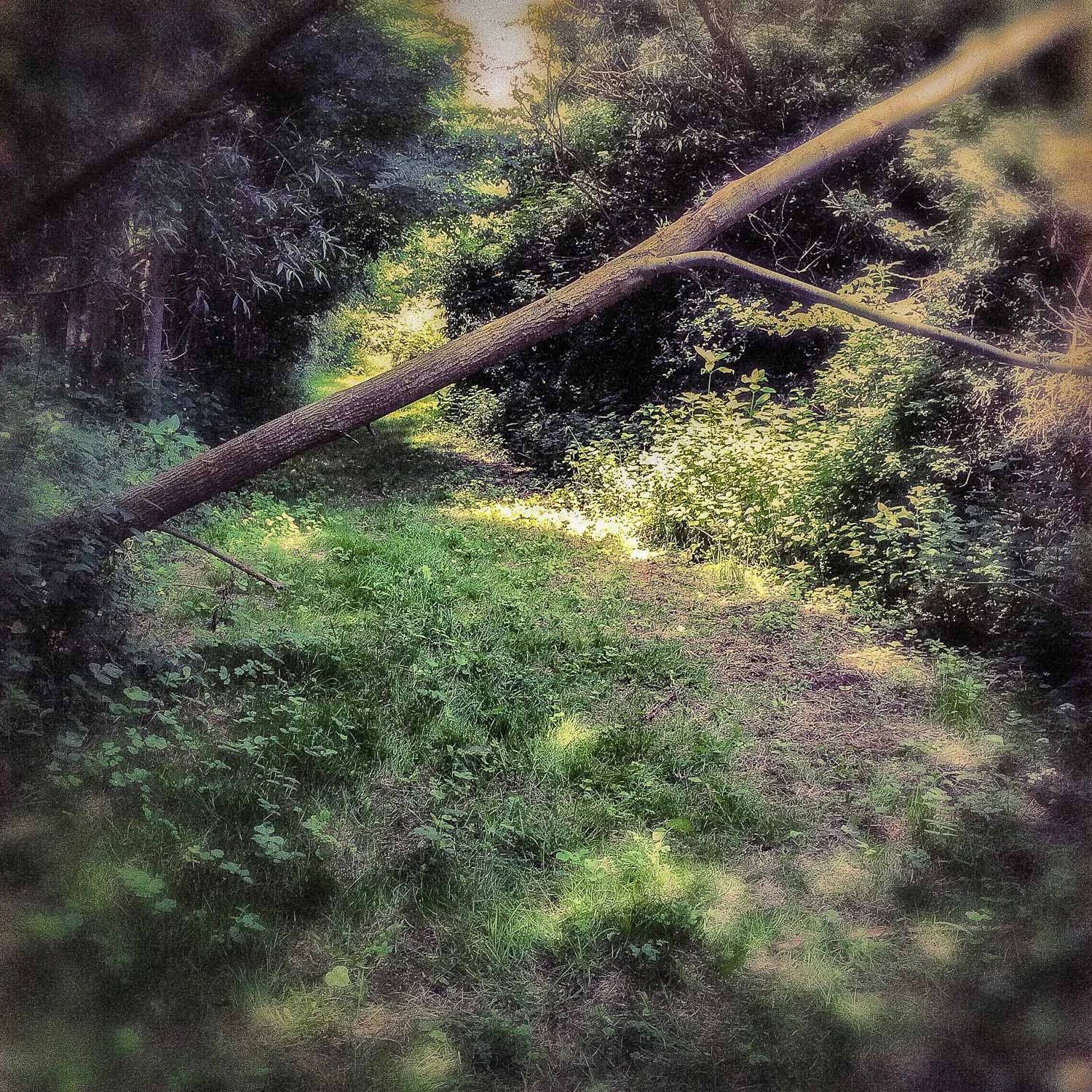 Untitled - 22 June 2014