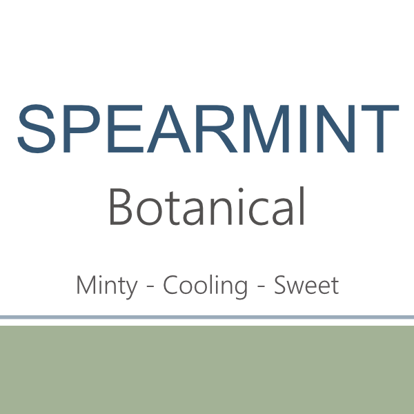 Web- Spearmint 2024.png