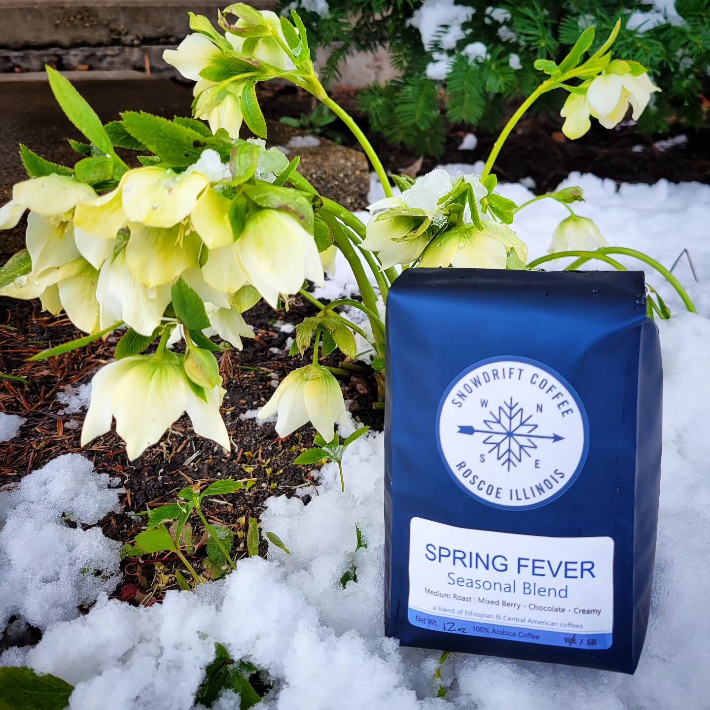 ❄️ Spring is here! ❄️

It's Illinois, so of course we'll get 6 inches of snow at the end of March! 

But, no worries! Our Spring Fever Seasonal Blend is here to cozy up to. 

We've designed this blend using coffees from Ethiopia &amp; Mexico to be cr