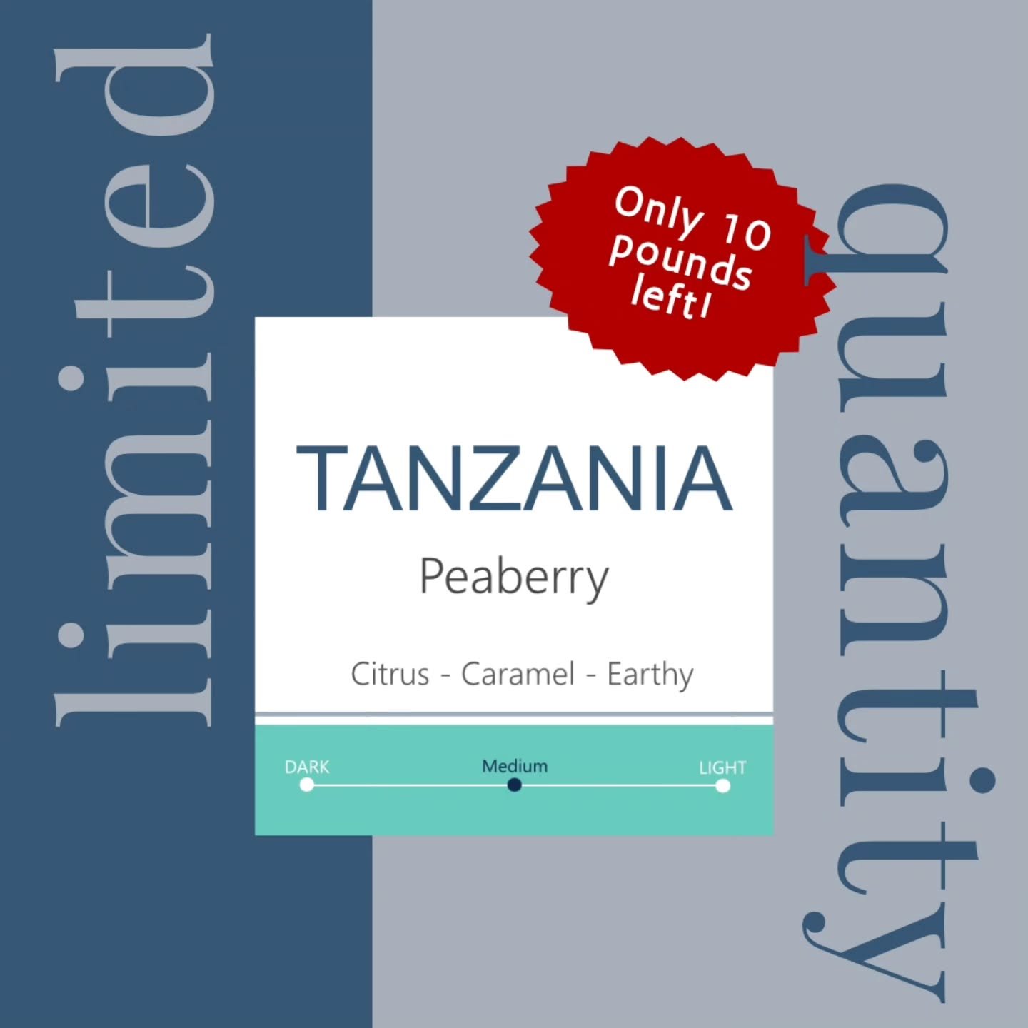 🚨Only 10 lbs left!🚨

We're down to the last few bags of our very first peaberry coffee. Once it's gone, it's gone!

Peaberries are a natural rarity, forming when only one seed develops inside the coffee cherry. The result? A distinctively different