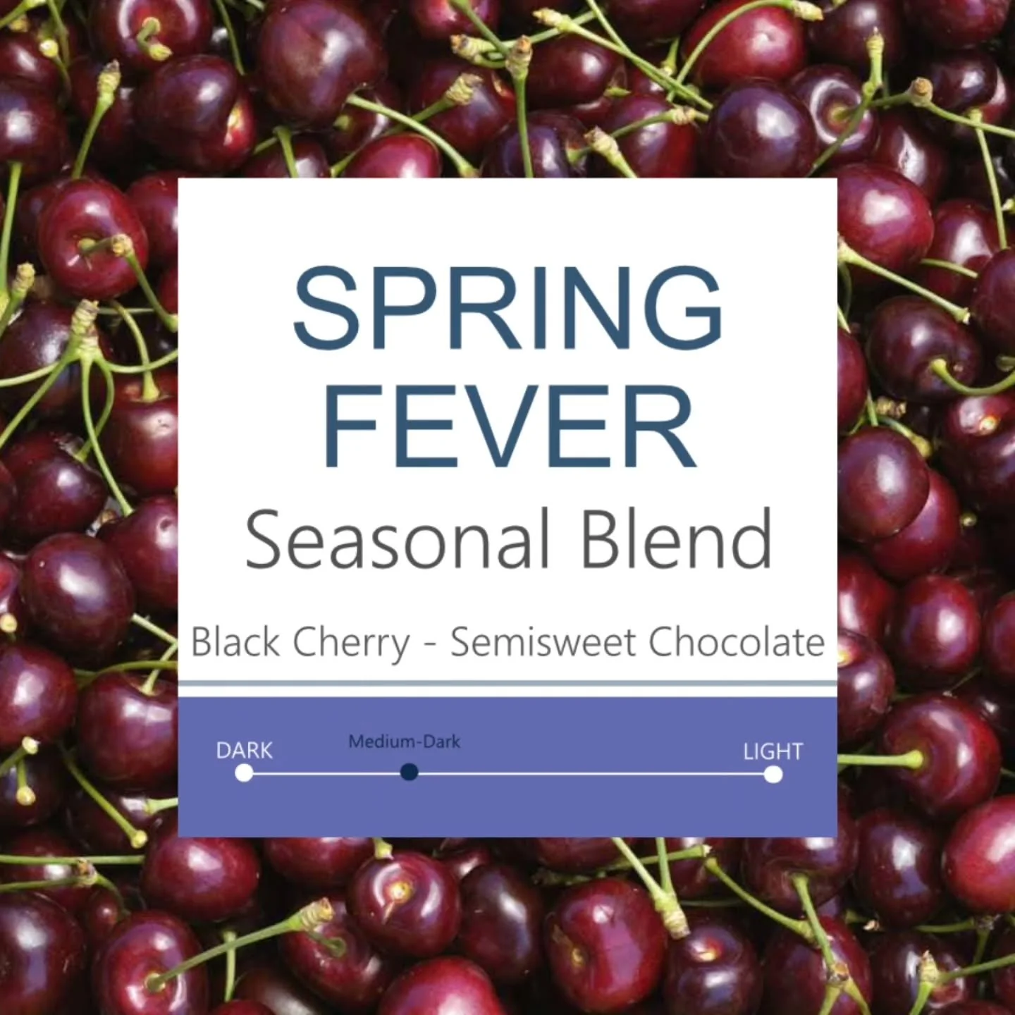 When the Days Get Longer, It&rsquo;s Spring Fever Season 🌱☕

That first hint of spring is in the air. The mornings may still be dark, but the days are stretching longer, brighter, and full of promise. Spring Fever returns for its 7th annual release,