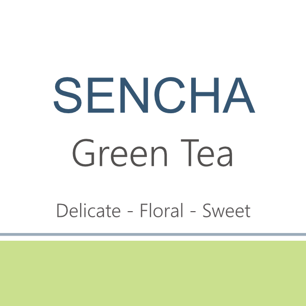Web- Sencha 2024.png