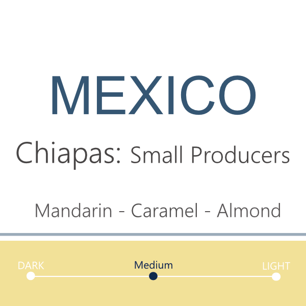 Web-Mexico Chiapas 2026.png