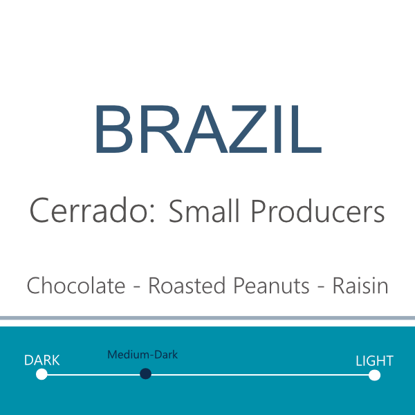 Web- Brazil Salmo Plus 2025.png