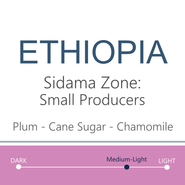 Web- Ethiopia Sidama 2026B.png