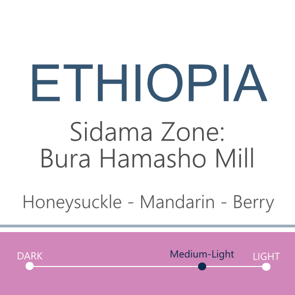 Web- Ethiopia Sidama 2026.png