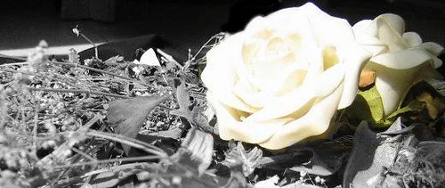 21 Years of Corporate Impunity -   The Systematic Attempt to Eliminate a Union’s Leadership in Colombia