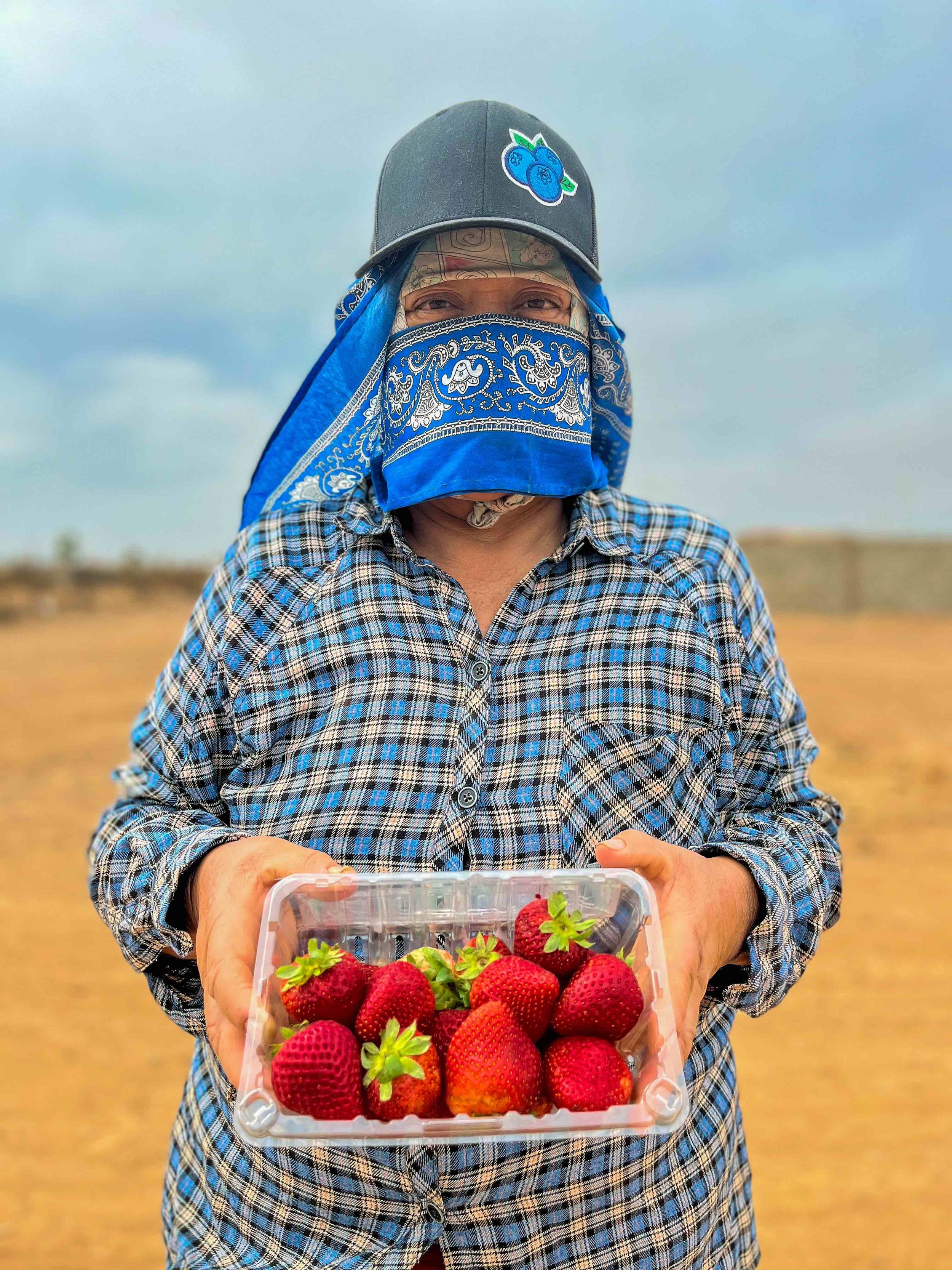 Strawberry Worker Portrait 1 (1).jpg